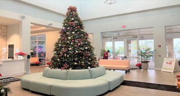 Extraordinary 10br Private Pool Spa Near Disney