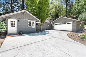 Peaceful Pines Panorama