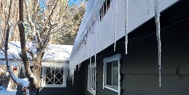 Peaceful Pines Panorama