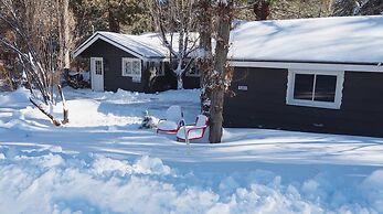 Peaceful Pines Panorama
