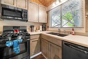 Peaceful Pines Panorama