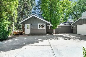 Peaceful Pines Panorama