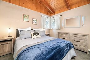 Peaceful Pines Panorama