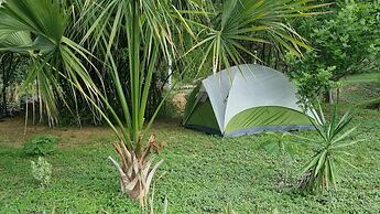 Arboreto Camping