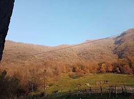 B&B La Corte del Segrino