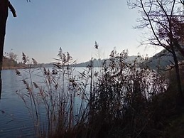 B&B La Corte del Segrino