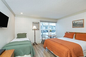 Mountainside Inn 308 1 Bedroom Hotel Room by Alpine Lodging Telluride