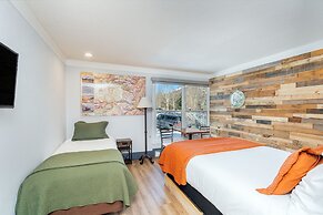 Mountainside Inn 111 1 Bedroom Hotel Room by Alpine Lodging Telluride