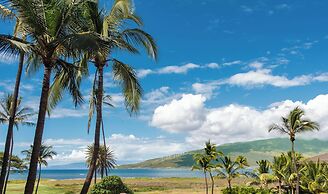 Boutique Oceanfront Studio Vistas