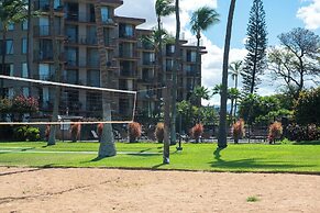 Elegant Oceanfront Vistas