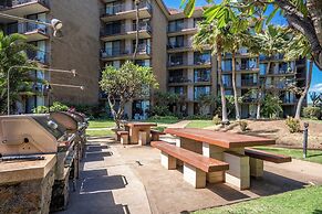 Modern and Relaxing Oceanfront Vistas