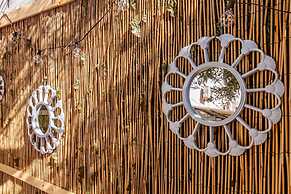 Elegantia Home in Pisa