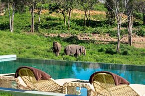 Wild Cottages Elephant Sanctuary Resort