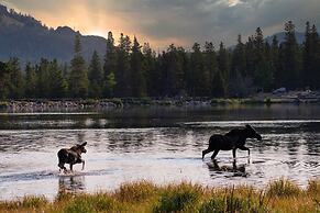 Niwot Cabin - Stay In Rocky Mountain National Park - Estes Park - New