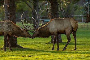 Frontier Mountain Retreat - Monthly Long-term Vacation Rental 30+ Days