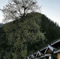 Keran Retreat