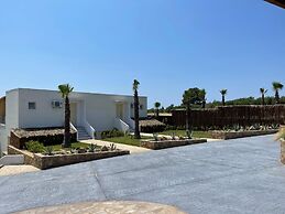 SANIMAR By Mono Alex