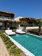 SANIMAR By Mono Alex