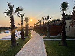 SANIMAR By Mono Alex