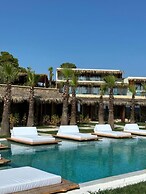 SANIMAR By Mono Alex