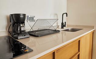 Spacious studio with balcony terrace I