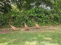 The Old Forge Cottage