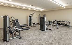 Phoenix Orange Beach 1204 3 Bedroom Condo