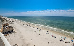 Phoenix Gulf Shores 903 3 Bedroom Condo