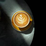 Eleven by Warren Collection