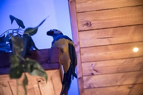 Samsara e Nirvana Suite