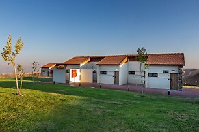 Roxon Desert Arad