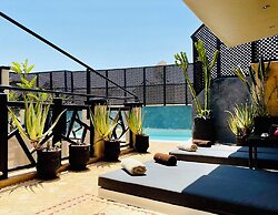 Riad Basidi