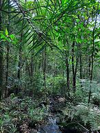 Kurunduketiya Private Rainforest Resort