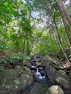 Kurunduketiya Private Rainforest Resort