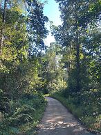 Kurunduketiya Private Rainforest Resort