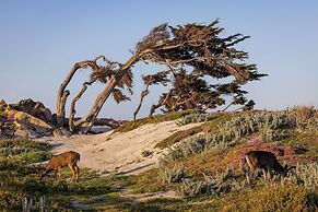 Home2 Suites by Hilton at the Dunes on Monterey Bay