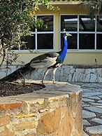 Hacienda Girasoles Tampico