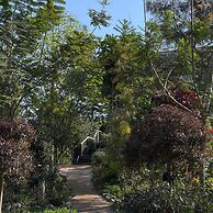 Vana homestay