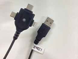 Prince Smart Inn Miyazaki