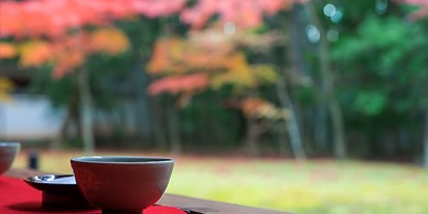 RYOKAN GINKAKU KYOTO