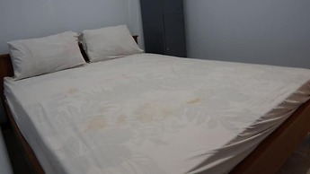 OYO 92744 Coconut Island Homestay & ResortNearPantai Pulau Merah