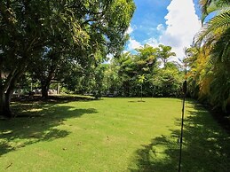 Palm Grove by Bluescape