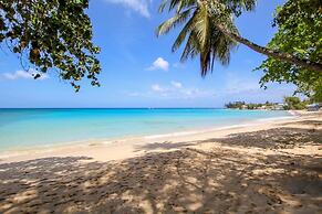 Palm Grove by Bluescape