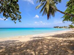 Palm Grove by Bluescape
