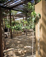 Private & Exclusive Apt Garden pool