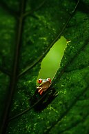 Colores del Viento Villa Breathtaking Ocean Views