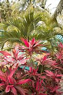 Blue b7 departamentos