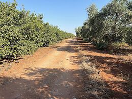 Tenuta Macconi Country Rooms