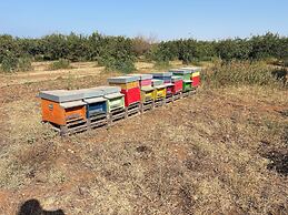 Tenuta Macconi Country Rooms