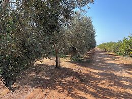 Tenuta Macconi Country Rooms
